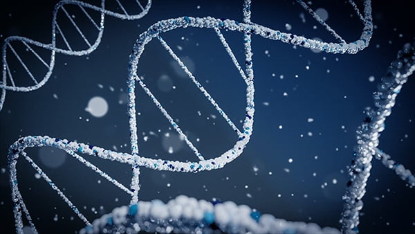 Badanie wolnego DNA płodu